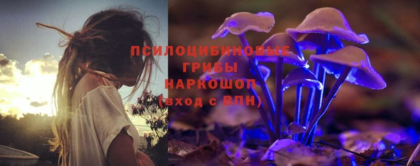 spice Аркадак