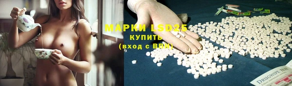 spice Аркадак