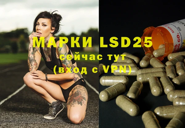 spice Аркадак