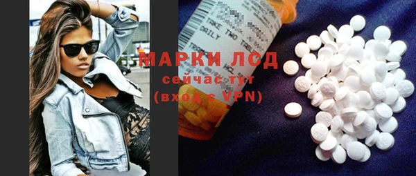 spice Аркадак