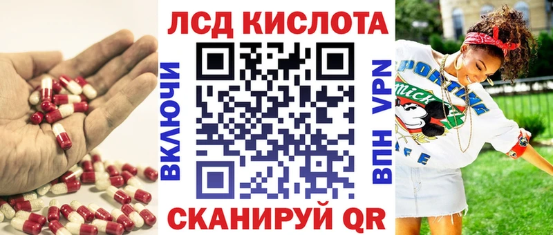 дарнет шоп  ссылка на мегу вход  ЛСД экстази ecstasy  Чудово 