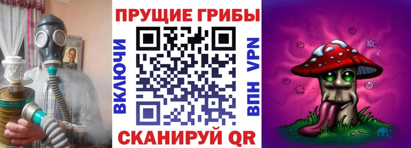 где купить   Чудово  площадка телеграм  Псилоцибиновые грибы GOLDEN TEACHER 